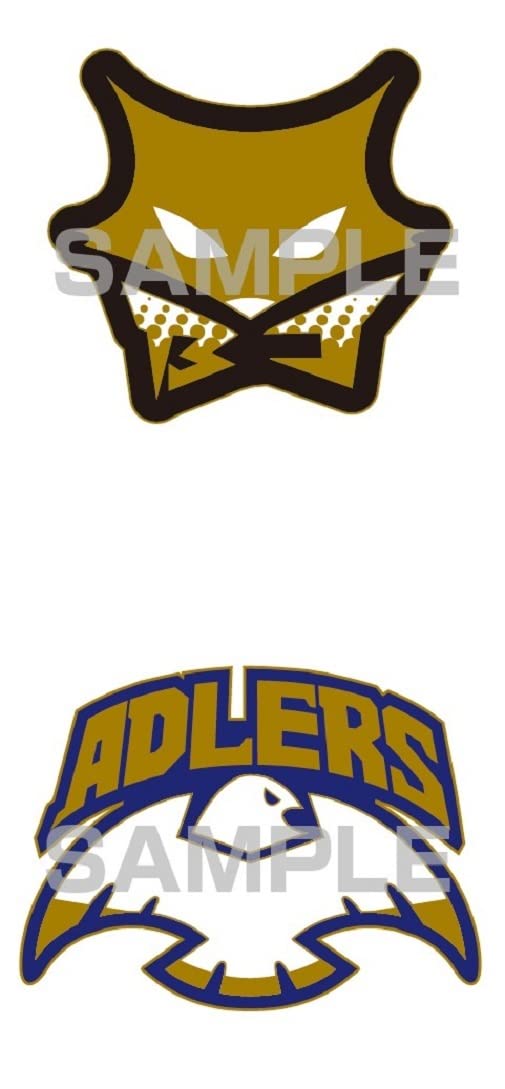 Haikyu!! 10th Chronicle Bundle