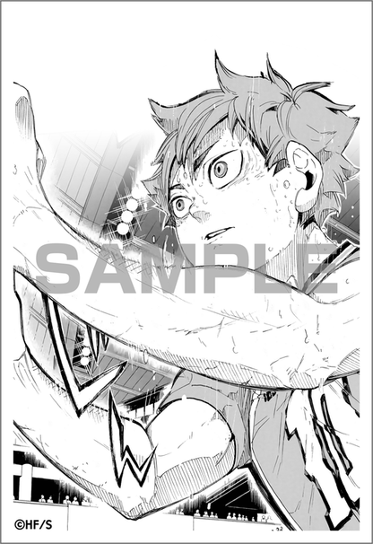 Haikyu!! 10th Chronicle  Bundle
