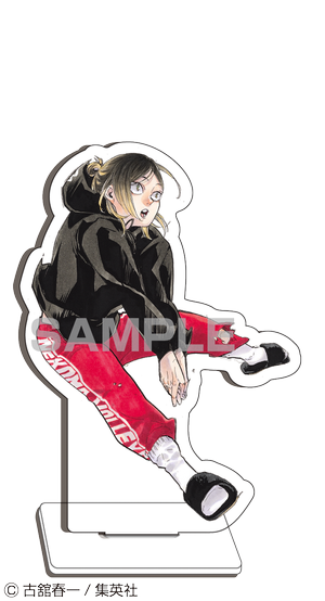 Haikyu!! 10th Chronicle  Bundle