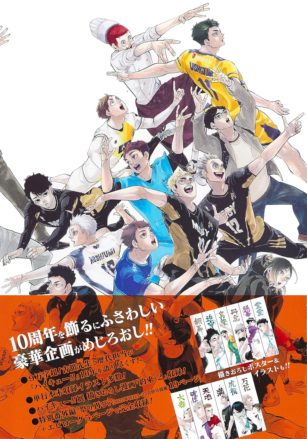 Haikyu!! 10th Chronicle  Bundle