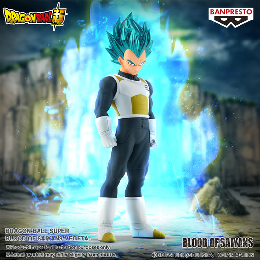 Banpresto Dragon Ball Super Blood of Saiyans Vegeta